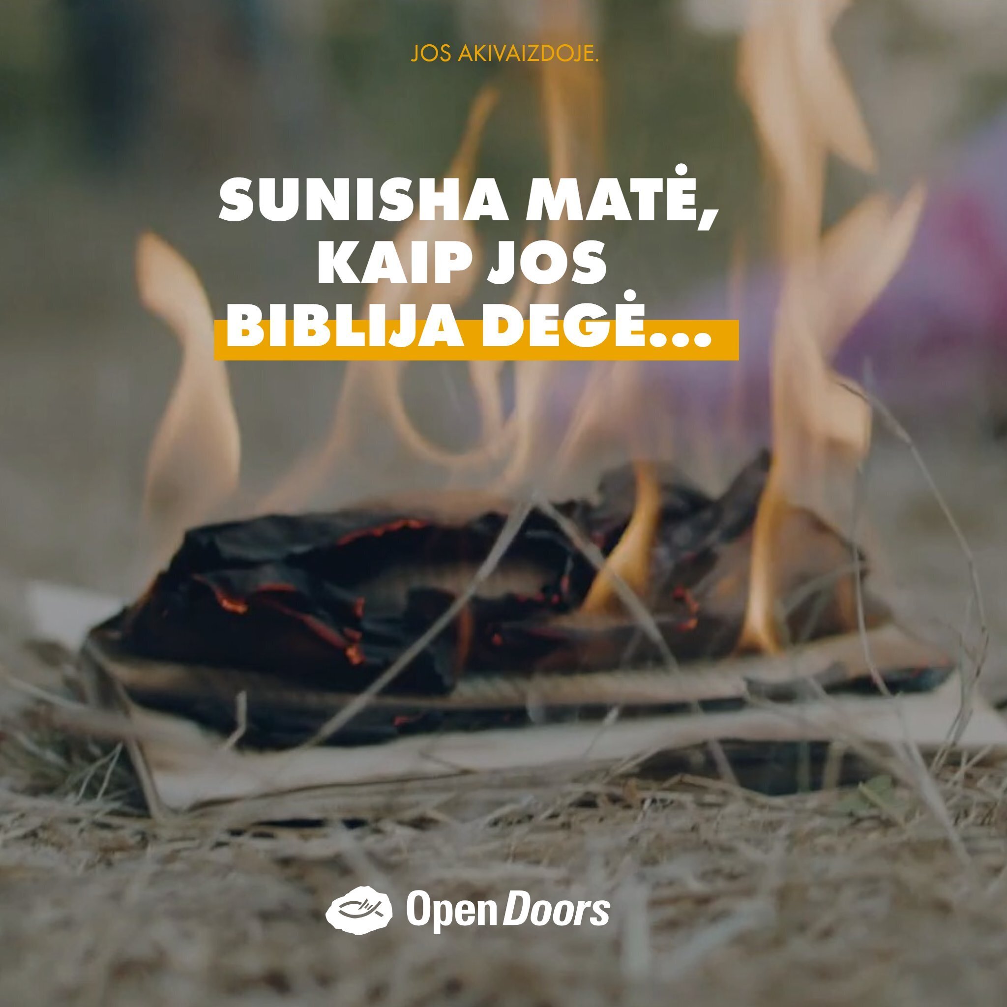 Sunishos Biblija buvo sudeginta