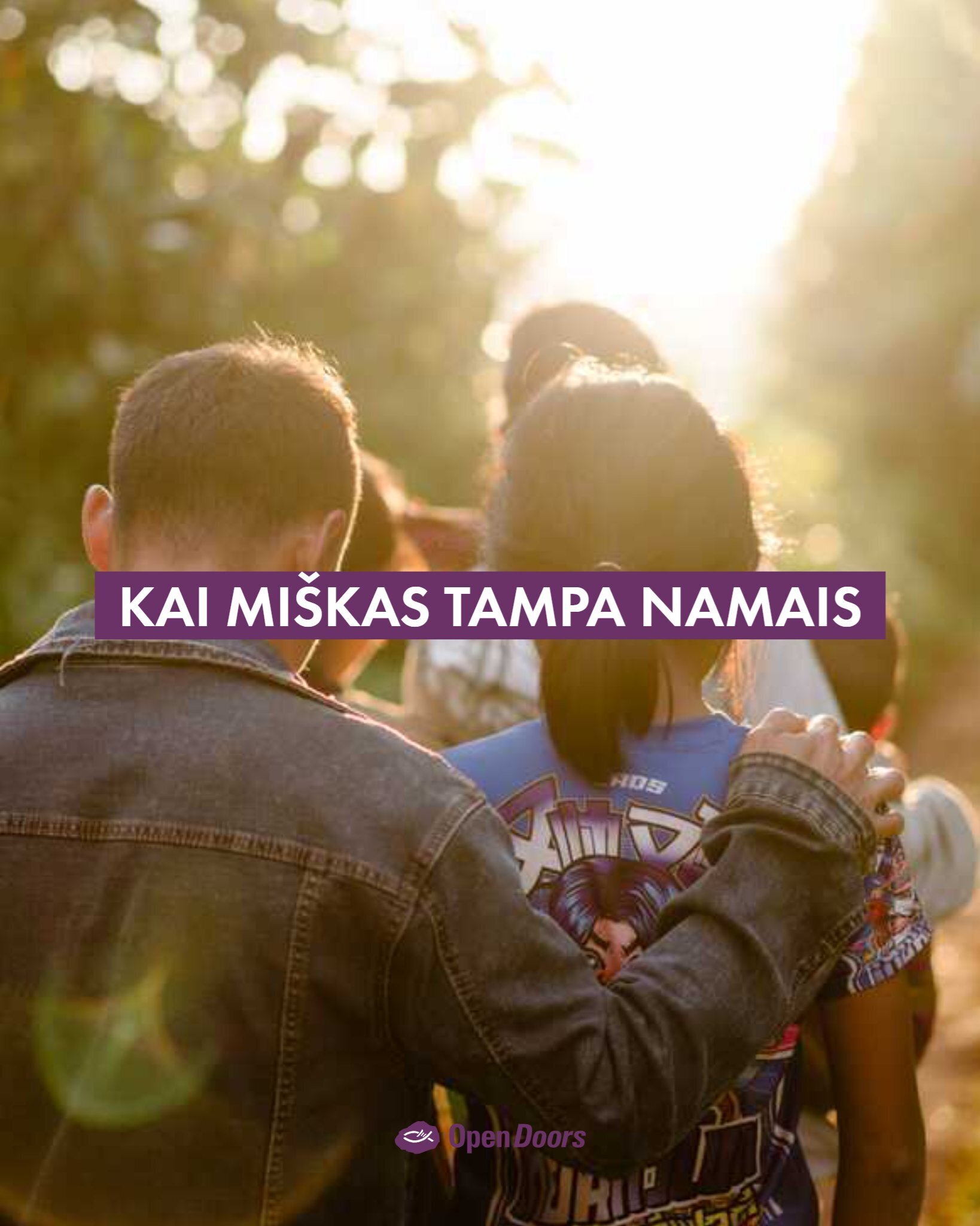 Miškas tampa namais